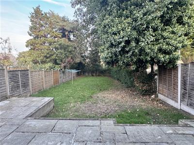 Picture 11